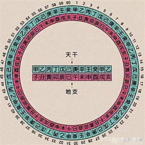 子丑寅卯意思|什么是“子丑寅卯”﹖